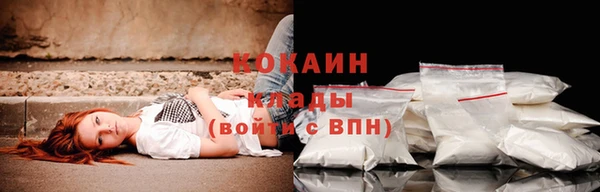 2c-b Алзамай