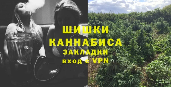 2c-b Алзамай